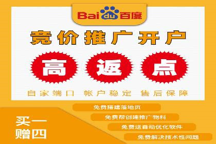 百度广告推广助力电商行业案例分析